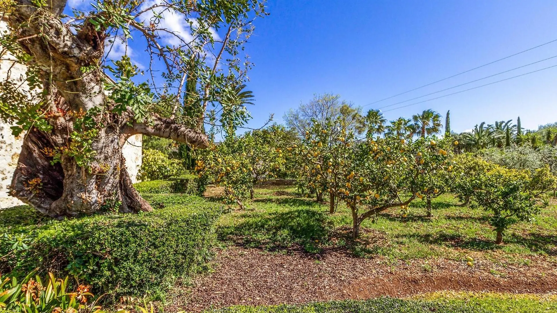 Traditional Pollensa Villa 3 Bedrooms Villa Rellafonta Mountain Views Short Drive To Town Beach 0*, 포엔샤 스페인